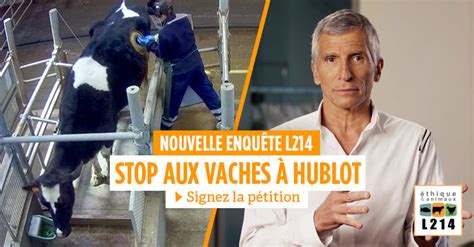 [VIDÉO] Stop aux vaches à hublot 